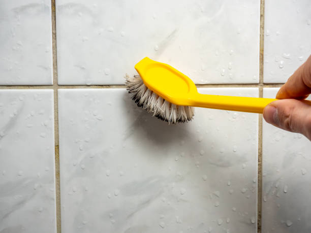 Best Mold Remediation for Specific Building Types in Raymondville, TX