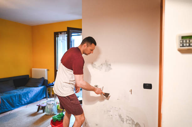 Best Localized Mold Remediation (e.g., coastal areas, humid climates) in Raymondville, TX
